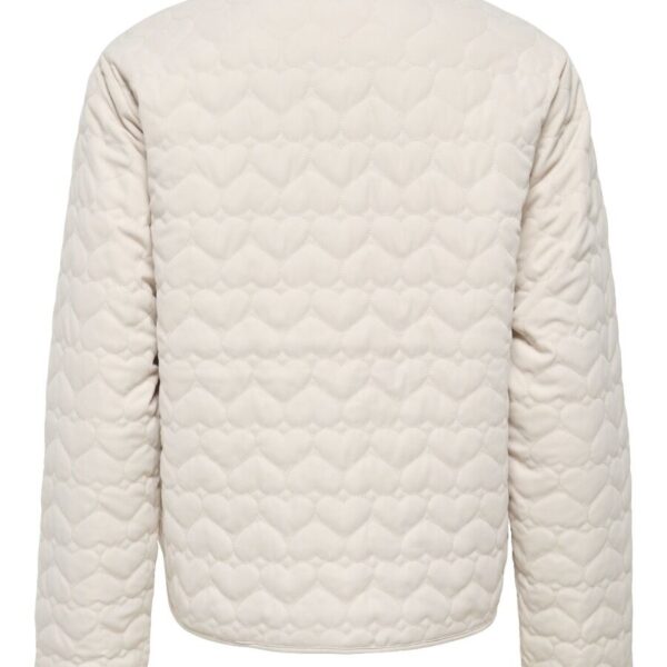 only autumnwinter 4986910 15366265 1