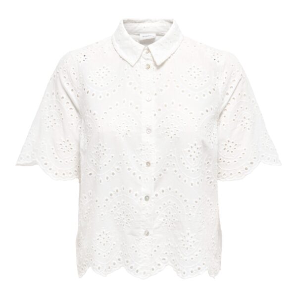 15351106 Cloud Dancer 05