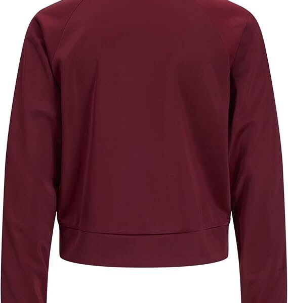 61VfITSaNML. AC SX569