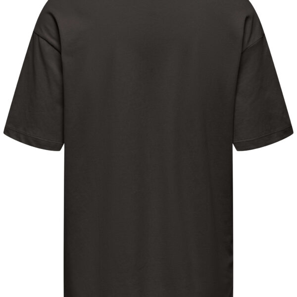 ONPPICA LIFE ON SS LOOSE JRS TEE